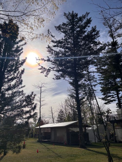 キャンプ解禁🎉＆乾杯🍻青木ヶ原樹海を歩く!? 「フラット登山」第2弾 DOTEKAGE CAMP GROUND 区画サイト Jimko☆さんのキャンプブログ CAMPiii（キャンピー） -キャンプ専用SNS キャンプのすべてがここに集まる-