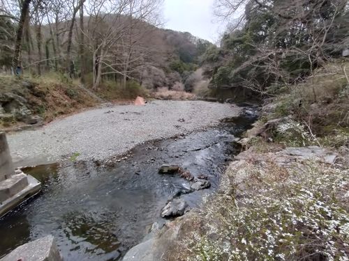 予想外に寒くない😁 月川荘キャンプ場 林間サイト ソロキャンプ フリーサイト ぼっちオヤジさんのキャンプブログ CAMPiii（キャンピー） -キャンプ専用SNS キャンプのすべてがここに集まる-