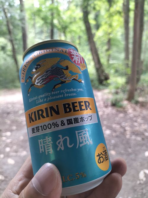 ６月キャンプ⛺️スタート😁 ソロキャンプ フリーサイト ぼっちオヤジさんのキャンプブログ CAMPiii（キャンピー） -キャンプ専用SNS キャンプのすべてがここに集まる-