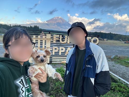 ふもとっぱらキャンプ場 ふもとっぱらキャンプ場 ファミリーキャンプ フリーサイト あやぴさんのキャンプブログ CAMPiii(キャンピー) -キャンプ専用SNS キャンプのすべてがここに集まる-