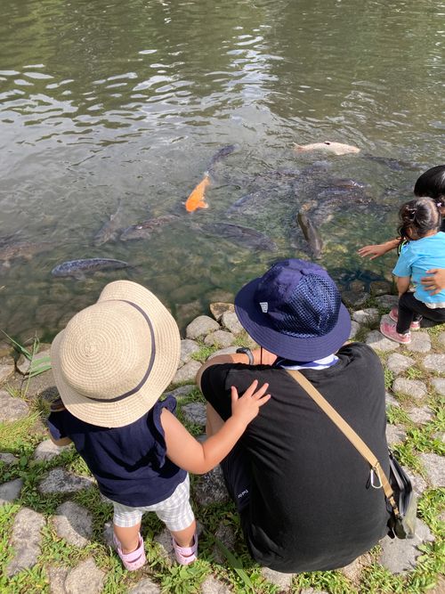 8月キャンプin長野2泊3日② 駒ヶ根高原家族旅行村アルプスの丘 ファミリーキャンプ 区画サイト boorishcamperさんのキャンプブログ CAMPiii(キャンピー) -キャンプ専用SNS キャンプのすべてがここに集まる-