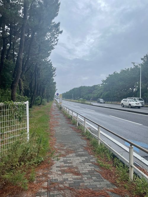 海岸通りが気持ちいい!徒歩ソロで行く、ちがさき柳島キャンプ場 柳島キャンプ場 ソロキャンプ 区画サイト ma9さんのキャンプブログ CAMPiii(キャンピー) -キャンプ専用SNS キャンプのすべてがここに集まる-