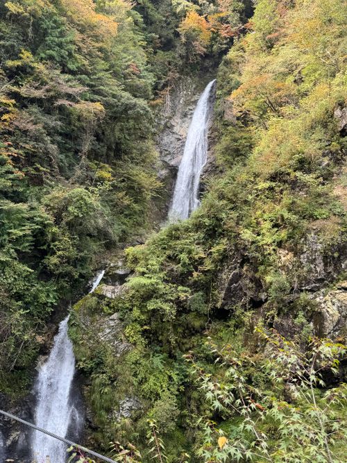 虹🌈キャンプ 南光自然観察村 ファミリーキャンプ 区画サイト yoji@campさんのキャンプブログ CAMPiii（キャンピー） -キャンプ専用SNS キャンプのすべてがここに集まる-