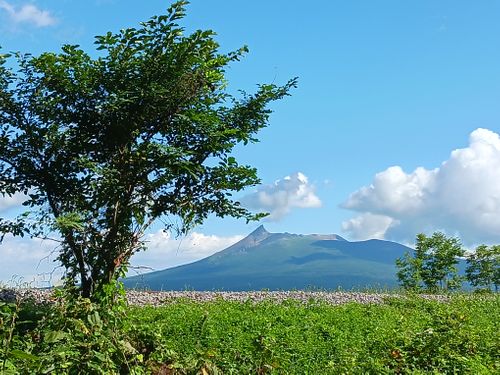 【Day10】北海道Ｃ△ｍｐ旅’  in 渡島・八雲 オートリゾート八雲 ファミリーキャンプ オートサイト キャンピングカー vios outdoor'sさんのキャンプブログ CAMPiii（キャンピー） -キャンプ専用SNS キャンプのすべてがここに集まる-