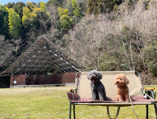 2026.3.19〜20 岩屋キャンプ場 akemi.09.02さんのキャンプブログ CAMPiii（キャンピー） -キャンプ専用SNS キャンプのすべてがここに集まる-