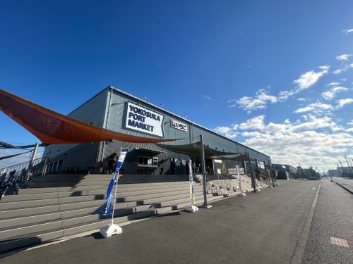 東京湾に残された唯一の自然島にてチェアリング 猿島 ソロキャンプ フリーサイト Genさんのキャンプブログ CAMPiii（キャンピー） -キャンプ専用SNS キャンプのすべてがここに集まる-