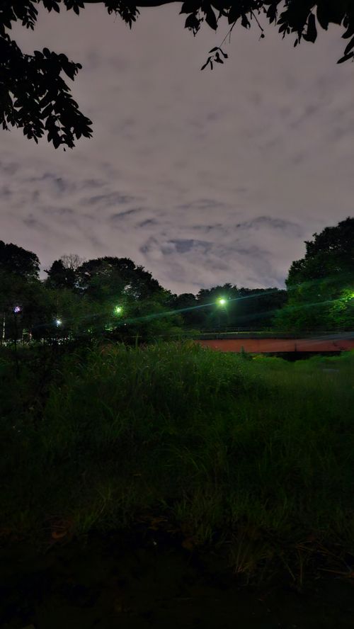 その後 日本 ソロキャンプ グループキャンプ 区画サイト フリーサイト オートサイト IZUIZUさんのキャンプブログ CAMPiii（キャンピー） -キャンプ専用SNS キャンプのすべてがここに集まる-