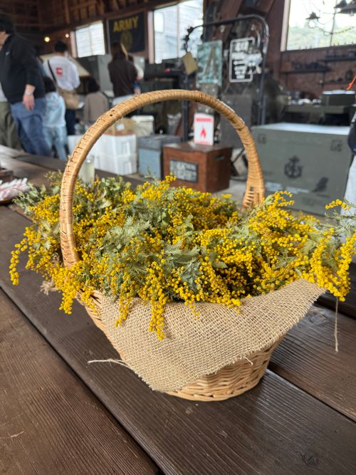 桜満開 can feel camp Camping Spot Hamano ソロキャンプ フリーサイト atelierさんのキャンプブログ CAMPiii（キャンピー） -キャンプ専用SNS キャンプのすべてがここに集まる-