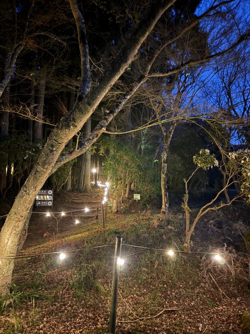 中伊豆へ！ LScamp中伊豆 ソロキャンプ オートサイト 区画サイト marpyさんのキャンプブログ CAMPiii（キャンピー） -キャンプ専用SNS キャンプのすべてがここに集まる-