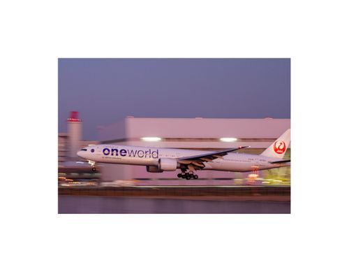 久しぶりのホーム GROVE camping hill ソロキャンプ ファミリーキャンプ グループキャンプ 区画サイト フリーサイト オートサイト ENJOY THE OUTDOORSさんのキャンプブログ CAMPiii（キャンピー） -キャンプ専用SNS キャンプのすべてがここに集まる-