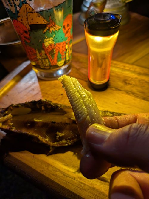 【粕汁✕ハツ串✕クラフトビール】千葉の楽々ガーデン ソロキャンプ フリーサイト MOTO△CAMPさんのキャンプブログ CAMPiii（キャンピー） -キャンプ専用SNS キャンプのすべてがここに集まる-