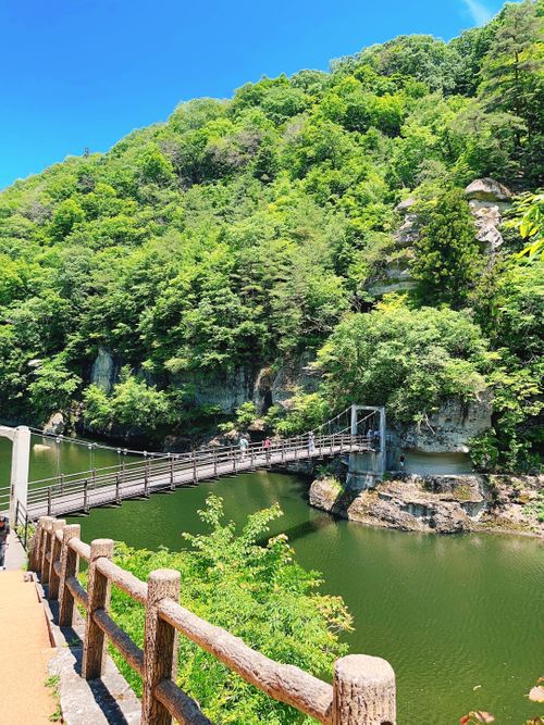 もう雪景色はおなかいっぱい&hellip;なので、現実逃避【備忘録】 エンゼルフォレスト那須白河｜ペットと泊まれる宿 Oniyomeさんのキャンプブログ CAMPiii（キャンピー） -キャンプ専用SNS キャンプのすべてがここに集まる-