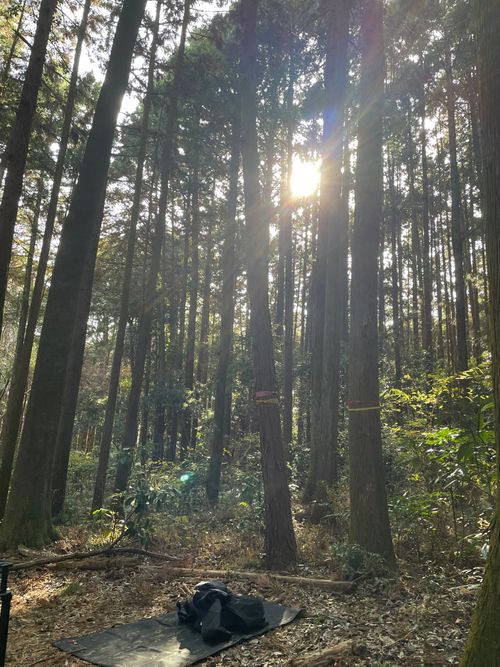 CAMPiii（キャンピー） おぐらーさんのキャンプブログ 次の日は多分雨かな~ 石岡市