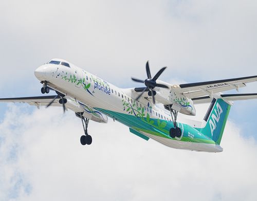 島キャンプ第一弾⛺️ ENJOY THE OUTDOORSさんのキャンプブログ CAMPiii（キャンピー） -キャンプ専用SNS キャンプのすべてがここに集まる-