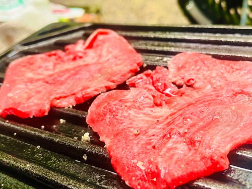 暑い夏に…涼を求めて…渓谷のキャンプ場へおじおばうさキャン△ in 匹見峡レストパーク 〜 CAMP NO.148 匹見峡レストパーク ファミリーキャンプ グループキャンプ 区画サイト おじキャン△さんのキャンプブログ CAMPiii（キャンピー） -キャンプ専用SNS キャンプのすべてがここに集まる-
