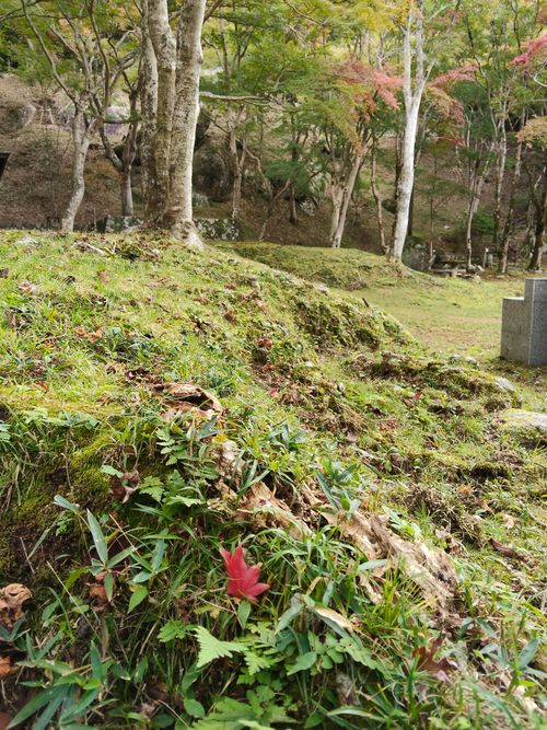 ちょっとハイク 笠置キャンプ場 ソロキャンプ フリーサイト おっとまんSさんのキャンプブログ CAMPiii（キャンピー） -キャンプ専用SNS キャンプのすべてがここに集まる-