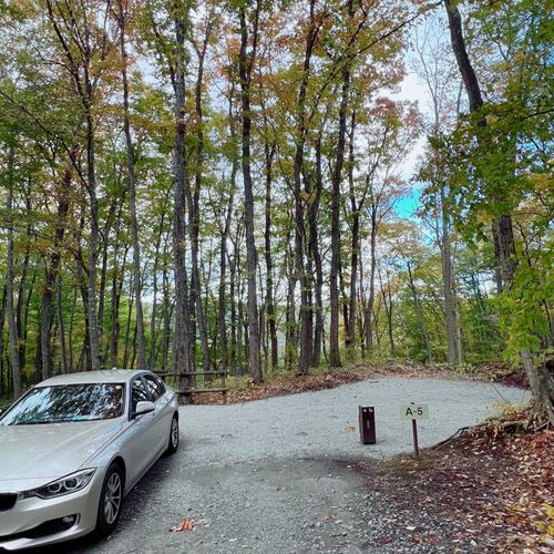 2泊3日森ソロ 葛尾村森林公園もりもりランド ソロキャンプ オートサイト 区画サイト ド・スタールさんのキャンプブログ CAMPiii（キャンピー） -キャンプ専用SNS キャンプのすべてがここに集まる-