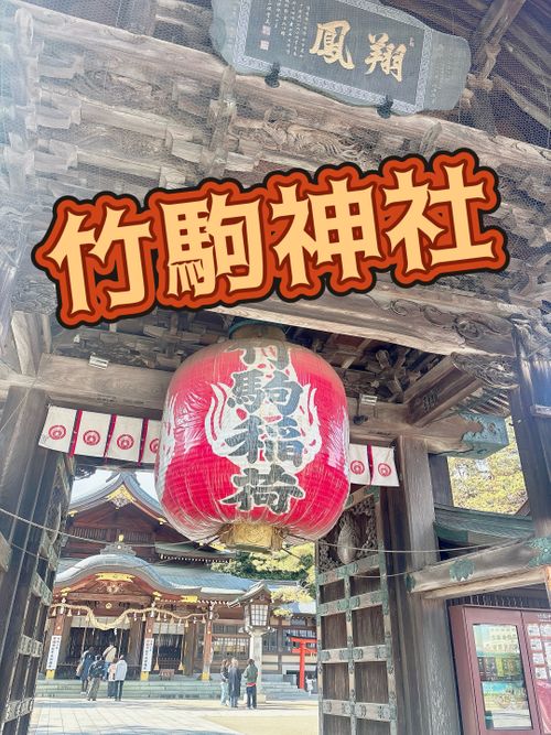 お誕生日キャンプ2026【後編】 ぴかぴか​パーク Oniyomeさんのキャンプブログ CAMPiii（キャンピー） -キャンプ専用SNS キャンプのすべてがここに集まる-