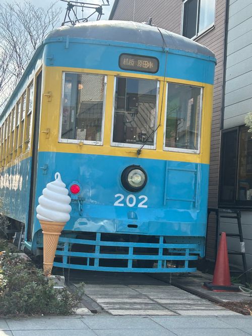 花見キャンプのはずなのに🤔 伊豆キャンパーズヴィレッジ ソロキャンプ フリーサイト Genさんのキャンプブログ CAMPiii（キャンピー） -キャンプ専用SNS キャンプのすべてがここに集まる-