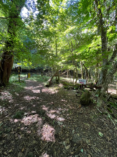 本栖湖supキャンプ 本栖湖いこいの森キャンプ場 グループキャンプ 区画サイト atelierさんのキャンプブログ CAMPiii（キャンピー） -キャンプ専用SNS キャンプのすべてがここに集まる-