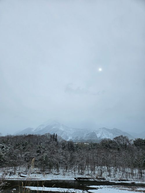 チャーシュー力 ともえ川Park ソロキャンプ グループキャンプ オートサイト 区画サイト IZUIZUさんのキャンプブログ CAMPiii（キャンピー） -キャンプ専用SNS キャンプのすべてがここに集まる-