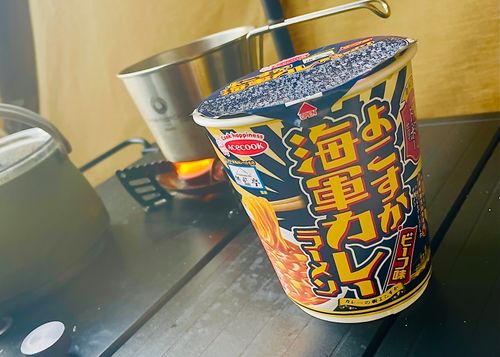 今年最後の《星空の贈りもの》を求め…久しぶりの完ソロおじキャン△ in 美濃ケ浜海浜公園キャンプ場 〜 CAMP NO.167 美濃ケ浜海浜広場 ソロキャンプ フリーサイト おじキャン△さんのキャンプブログ CAMPiii（キャンピー） -キャンプ専用SNS キャンプのすべてがここに集まる-