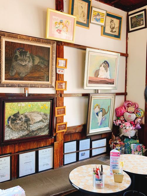 もう雪景色はおなかいっぱい&hellip;なので、現実逃避【備忘録】 エンゼルフォレスト那須白河｜ペットと泊まれる宿 Oniyomeさんのキャンプブログ CAMPiii（キャンピー） -キャンプ専用SNS キャンプのすべてがここに集まる-