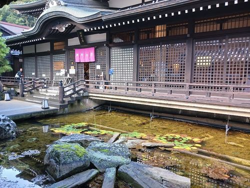11/2（日）痛車でカニ🦀を食らうRVパークはしご旅...in 兵庫・城崎♨ RVパーク城崎温泉いなばや ファミリーキャンプ キャンピングカー vios outdoor'sさんのキャンプブログ CAMPiii（キャンピー） -キャンプ専用SNS キャンプのすべてがここに集まる-