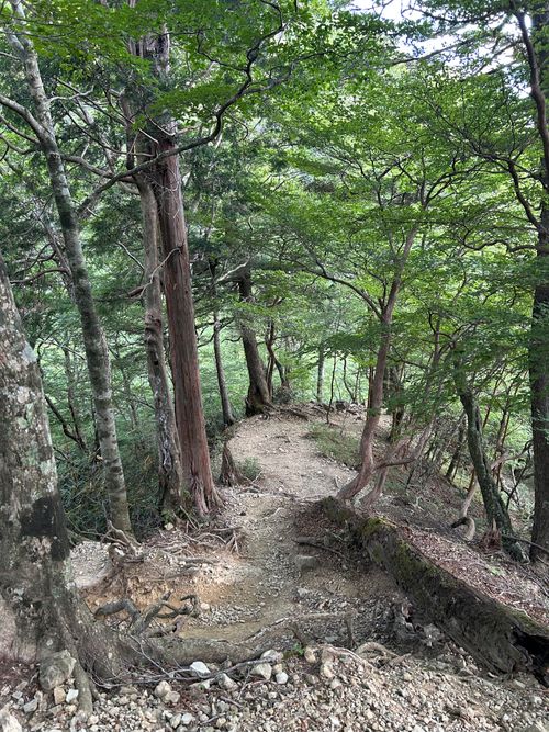 目指せ近畿最高峰の山 弥山 ソロキャンプ フリーサイト △kuuga△さんのキャンプブログ CAMPiii（キャンピー） -キャンプ専用SNS キャンプのすべてがここに集まる-