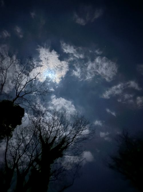 第91話　広島県は離島に行く！ Island Camp 百島 ソロキャンプ 区画サイト ちろ犬さんのキャンプブログ CAMPiii（キャンピー） -キャンプ専用SNS キャンプのすべてがここに集まる-