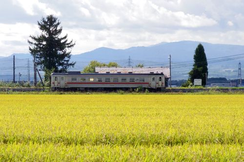 忘れ物だらけキャンプ🏕️ まあぶオートキャンプ場 ファミリーキャンプ オートサイト Train Photographer TAKAさんのキャンプブログ CAMPiii(キャンピー) -キャンプ専用SNS キャンプのすべてがここに集まる-