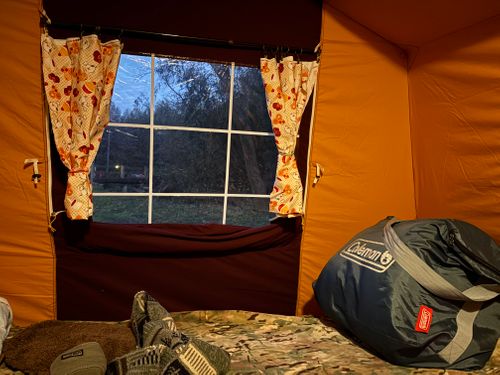 2025最後の旅する古本屋〜紫微輝く森の片隅で〜 紫星の森 ソロキャンプ フリーサイト ぱぱちょさんのキャンプブログ CAMPiii（キャンピー） -キャンプ専用SNS キャンプのすべてがここに集まる-