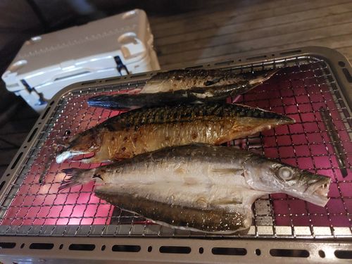 初のウッドデッキサイト🙌 細野高原ツリーハウス村キャンプ場 ファミリーキャンプ 区画サイト こば さんのキャンプブログ CAMPiii(キャンピー) -キャンプ専用SNS キャンプのすべてがここに集まる-