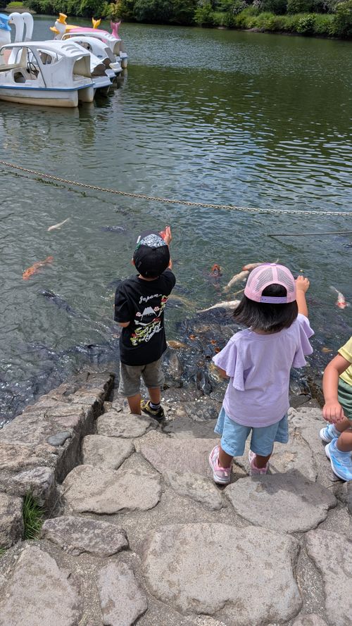 スワンボートリベンジキャンプ🦢 志高湖キャンプ場 ファミリーキャンプ フリーサイト オートサイト ヒゲキャンさんのキャンプブログ CAMPiii(キャンピー) -キャンプ専用SNS キャンプのすべてがここに集まる-