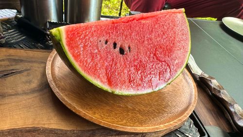 僕らの夏休み🌻Part2 キャンプグランド・ベアーベル グループキャンプ オートサイト すずさんのキャンプブログ CAMPiii(キャンピー) -キャンプ専用SNS キャンプのすべてがここに集まる-