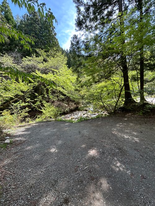 久しぶりのソロキャンプ🏕️ 道志の森キャンプ場 ソロキャンプ フリーサイト Genさんのキャンプブログ CAMPiii（キャンピー） -キャンプ専用SNS キャンプのすべてがここに集まる-