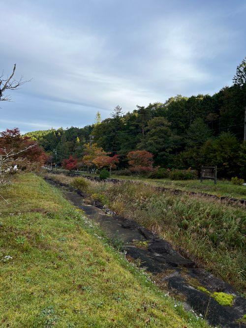 組合キャンプレク ソロキャンプ フリーサイト KABUTOさんのキャンプブログ CAMPiii（キャンピー） -キャンプ専用SNS キャンプのすべてがここに集まる-