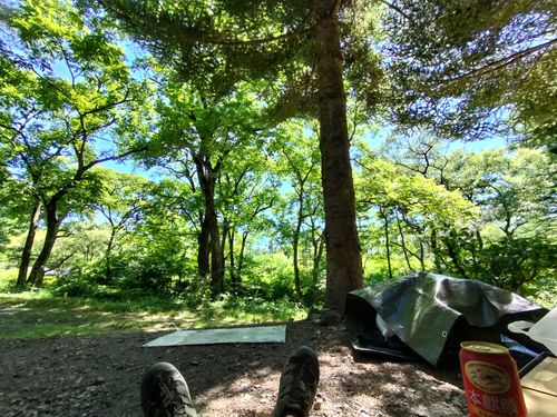 あの有名な無料キャンプ場の近くで、2025年4月から新体制でリスタートしたこの夏注目のお値打ちキャンプ場で避暑キャン1泊目ソロ(キャンプ場紹介もあるので長めです) 木曽駒オートキャンプ場 ソロキャンプ 区画サイト オートサイト たかたかぽんたさんのキャンプブログ CAMPiii(キャンピー) -キャンプ専用SNS キャンプのすべてがここに集まる-