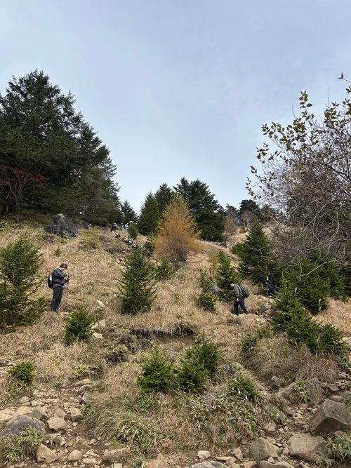 誘われて大菩薩嶺(自分は車中泊😆) 大菩薩嶺 ソロキャンプ グループキャンプ Genさんのキャンプブログ CAMPiii（キャンピー） -キャンプ専用SNS キャンプのすべてがここに集まる-