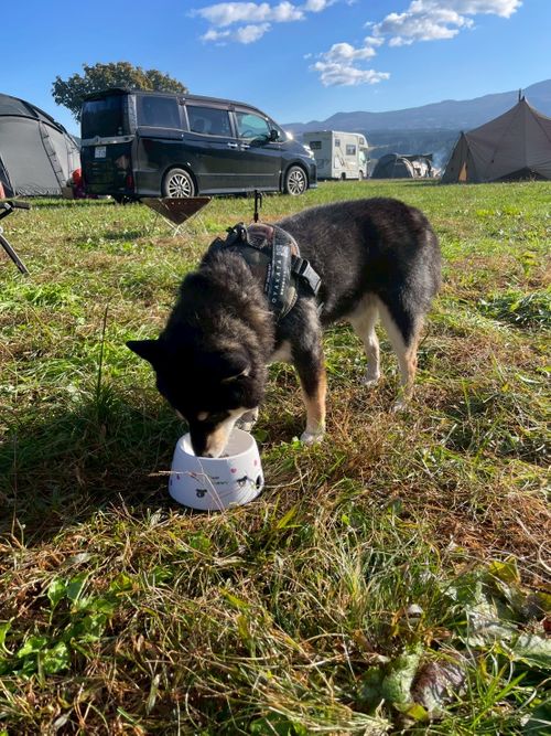 最高の天気だったふもとっぱらキャンプ ふもとっぱらキャンプ場 グループキャンプ フリーサイト OYAKATAさんのキャンプブログ CAMPiii（キャンピー） -キャンプ専用SNS キャンプのすべてがここに集まる-