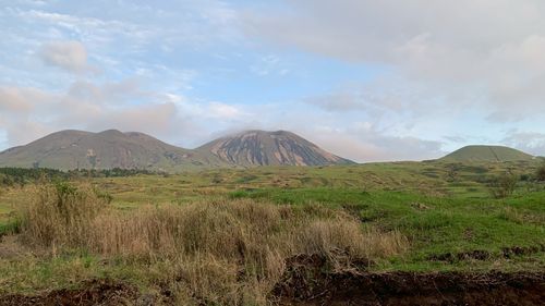 ハルの園遊会 グループキャンプ フリーサイト ハルさんのキャンプブログ CAMPiii（キャンピー） -キャンプ専用SNS キャンプのすべてがここに集まる-