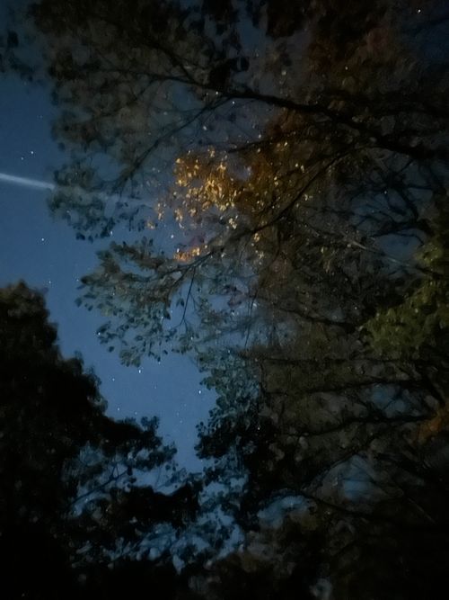 誘われて大菩薩嶺(自分は車中泊😆) 大菩薩嶺 ソロキャンプ グループキャンプ Genさんのキャンプブログ CAMPiii（キャンピー） -キャンプ専用SNS キャンプのすべてがここに集まる-