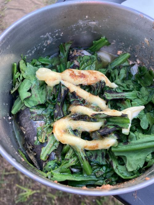 九十九里浜、やはり海はいいね！ 九十九里浜シーサイドオートキャンプ場 ソロキャンプ 区画サイト オートサイト アクセルさんのキャンプブログ CAMPiii（キャンピー） -キャンプ専用SNS キャンプのすべてがここに集まる-