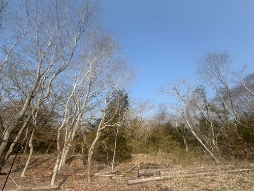 集中豪雨？ 富士山オートキャンプ場GENSHIJIN グループキャンプ 区画サイト オートサイト ちはみなさんのキャンプブログ CAMPiii（キャンピー） -キャンプ専用SNS キャンプのすべてがここに集まる-