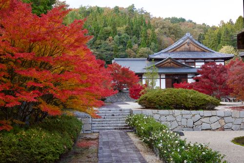 秋の彩りに癒されたキャンプ 天竺キャンプ場 ソロキャンプ フリーサイト yoshiさんのキャンプブログ CAMPiii（キャンピー） -キャンプ専用SNS キャンプのすべてがここに集まる-