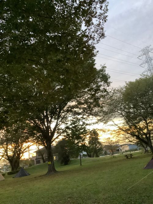 Vol.104 25/NO.23　いつもの場所でお肉焼く‼️ 坂戸市 ソロキャンプ フリーサイト 🔥焚き火🔥さんのキャンプブログ CAMPiii（キャンピー） -キャンプ専用SNS キャンプのすべてがここに集まる-