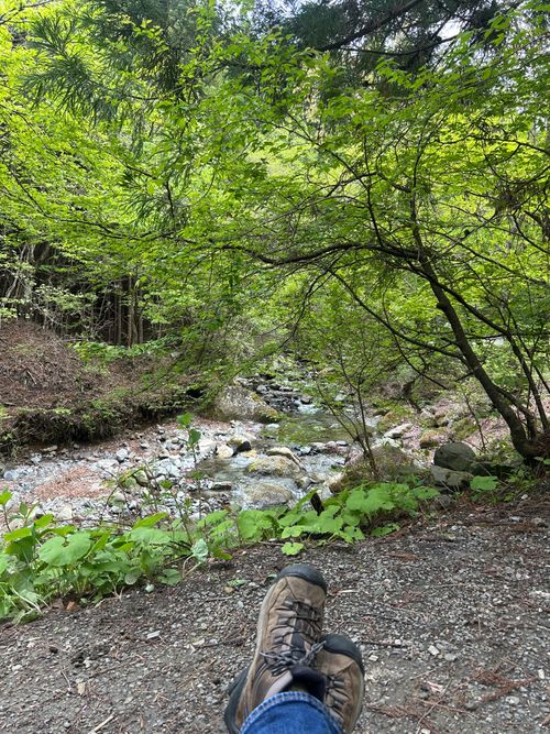 久しぶりのソロキャンプ🏕️ 道志の森キャンプ場 ソロキャンプ フリーサイト Genさんのキャンプブログ CAMPiii（キャンピー） -キャンプ専用SNS キャンプのすべてがここに集まる-