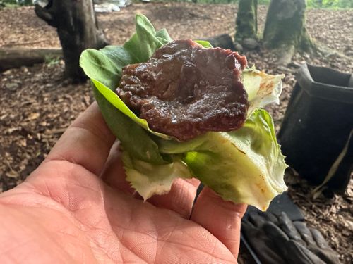 ハンモックでお昼寝キャンプ PICA表富士 ソロキャンプ フリーサイト まっつんさんのキャンプブログ CAMPiii(キャンピー) -キャンプ専用SNS キャンプのすべてがここに集まる-
