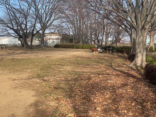 Vol.111 26/NO.01 新年1発目はココで‼️ 坂戸市 ソロキャンプ フリーサイト 🔥焚き火🔥さんのキャンプブログ CAMPiii（キャンピー） -キャンプ専用SNS キャンプのすべてがここに集まる-