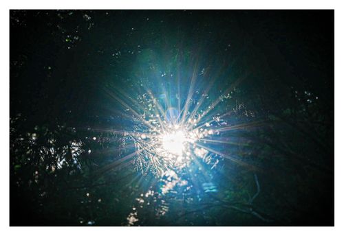 全国旅キャンプ第6弾は大阪府 山の神キャンプ場 ソロキャンプ 区画サイト ENJOY THE OUTDOORSさんのキャンプブログ CAMPiii(キャンピー) -キャンプ専用SNS キャンプのすべてがここに集まる-